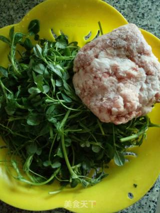 苜蓿水饺~苜蓿肉饺的做法步骤：1