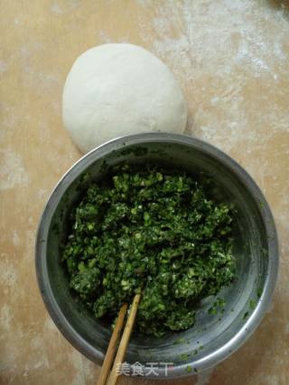 苜蓿水饺~苜蓿肉饺的做法步骤：4
