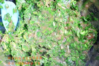 荠菜猪肉饺子的做法步骤：5