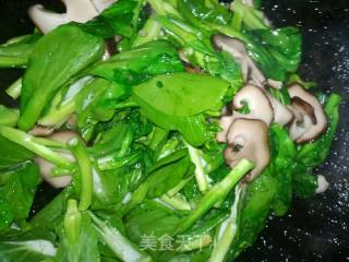 香菇菜苔的做法步骤：3