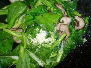 香菇菜苔的做法步骤：4