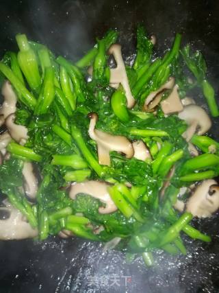 香菇菜苔的做法步骤：5