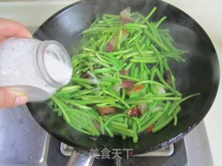 腊肉炒泥蒿的做法步骤：6