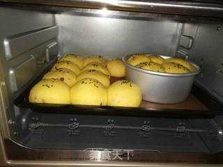 淡奶油南瓜餐包的做法步骤：9