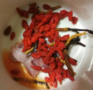 枸杞炖虫草的做法步骤：4