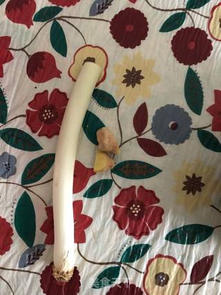 辣炒肉末菜花的做法步骤：4