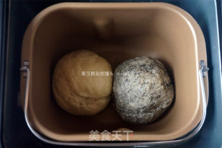 黑芝麻双色馒头的做法步骤：2