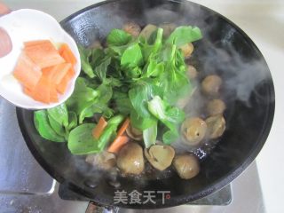 青菜草菇炒肉片的做法步骤：6