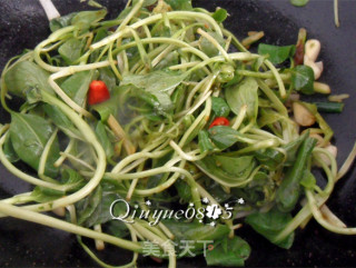 酱香鸡毛菜的做法步骤：5