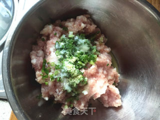 荠菜馄饨的做法步骤：4