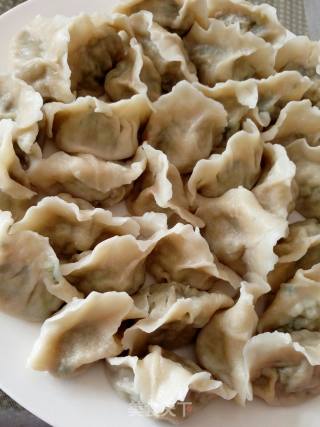 苔菜猪肉水饺的做法步骤：8