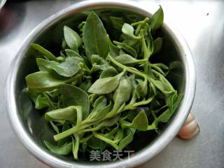 凉拌田七叶的做法步骤：1