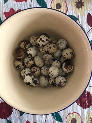 酱油卤蛋的做法步骤：6