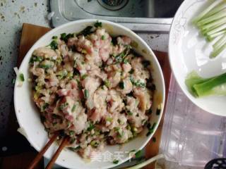 猪肉葱花饺子的做法步骤：4
