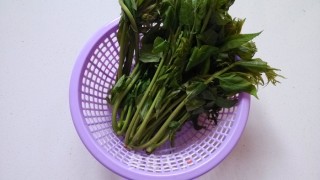 香椿鸡蛋煎饼的做法步骤：1