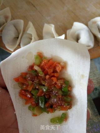 青椒胡萝卜猪肉馄饨的做法步骤：7