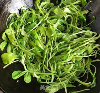 清炒蒜蓉鸡毛菜的做法步骤：5