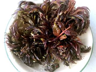 香椿拌豆腐的做法步骤：1