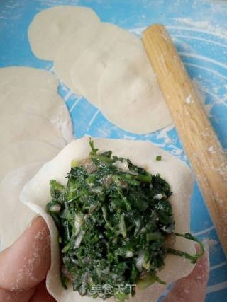＃春食野菜香＃荠菜蒸饺的做法步骤：14