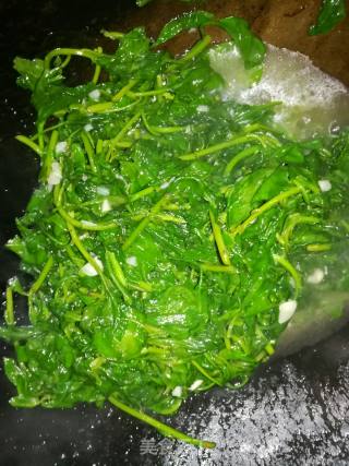 蒜香枸杞芽的做法步骤：5