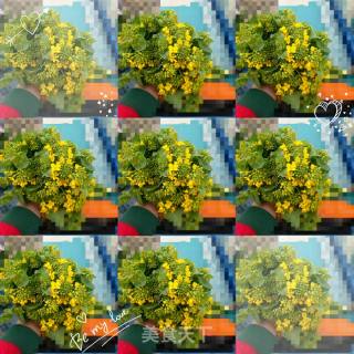 水煮菜花的做法步骤：7