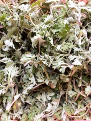 粉蒸茵陈的做法步骤：1