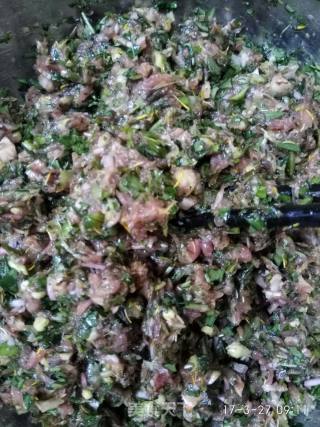 紫薯蒲公英猪肉馅蒸饺的做法步骤：5