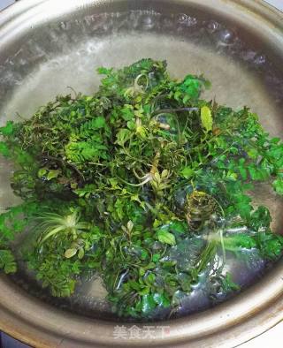 ＃春食野菜香＃餐桌上的春天-荠菜牛肉饺子的做法步骤：8