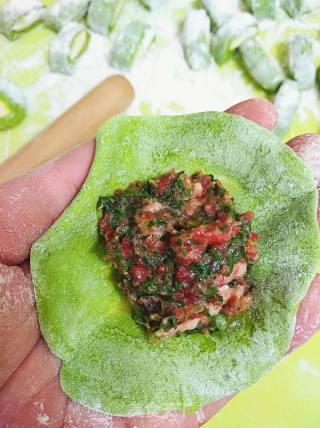 ＃春食野菜香＃餐桌上的春天-荠菜牛肉饺子的做法步骤：24