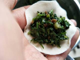 荠菜饺子的做法步骤：8