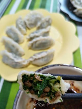 荠菜饺子的做法步骤：11