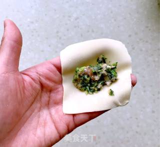 荠菜三鲜馄饨的做法步骤：6