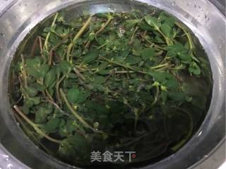 马齿苋凉拌木耳的做法步骤：5