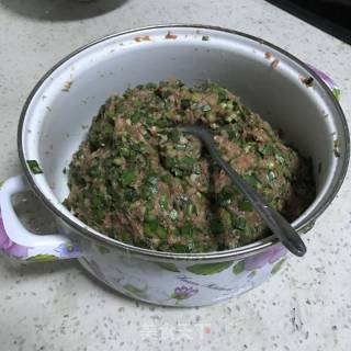 韭菜猪肉饺子的做法步骤：7
