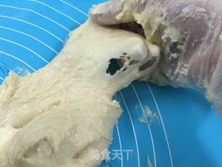 双色小餐包的做法步骤：5