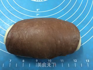 双色小餐包的做法步骤：14