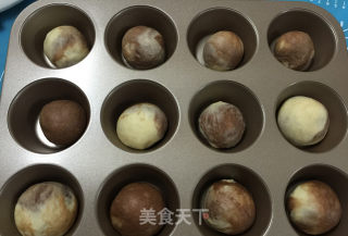 双色小餐包的做法步骤：15