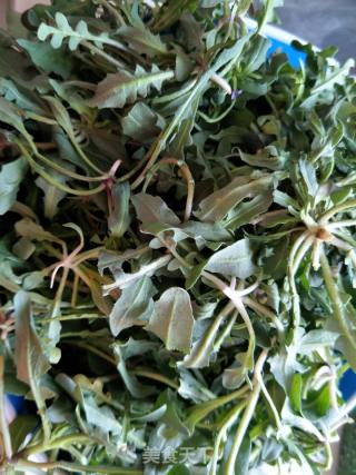 蒸荠菜的做法步骤：1
