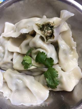 茴香馅儿饺子的做法步骤：9