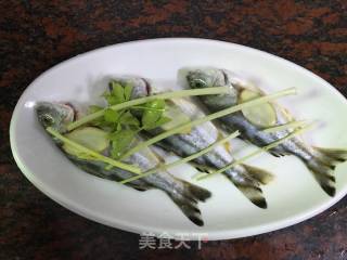 豆酱蒸细鳞鯻的做法步骤：5