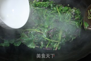 蒜蓉红苋菜的做法步骤：8