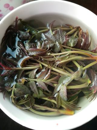 ＃春食野菜香＃煎香椿鸡蛋饼的做法步骤：6