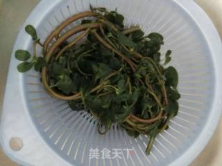 马齿笕煎蛋的做法步骤：2