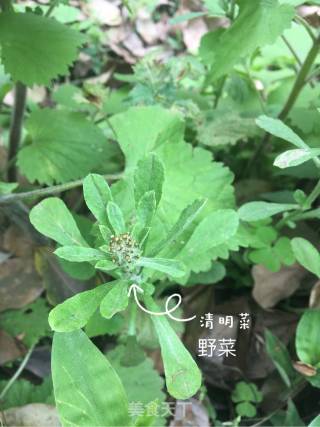 清明粑的做法步骤：1