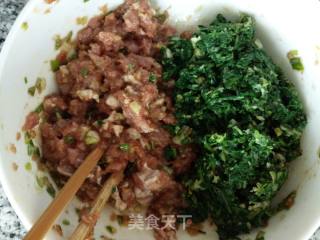 荠菜肉馄饨的做法步骤：3