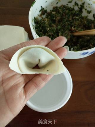 荠菜肉馄饨的做法步骤：5