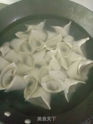 荠菜肉馄饨的做法步骤：7