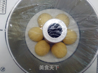 花朵全麦早餐包（二发冷藏发酵法）的做法步骤：9