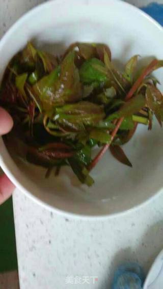 ＃春食野菜香＃酥脆可口的香椿鱼的做法步骤：3