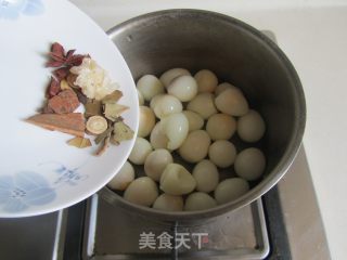 五香鹌鹑蛋的做法步骤：4